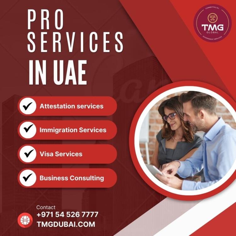 pro-services-tmg-global-dubai